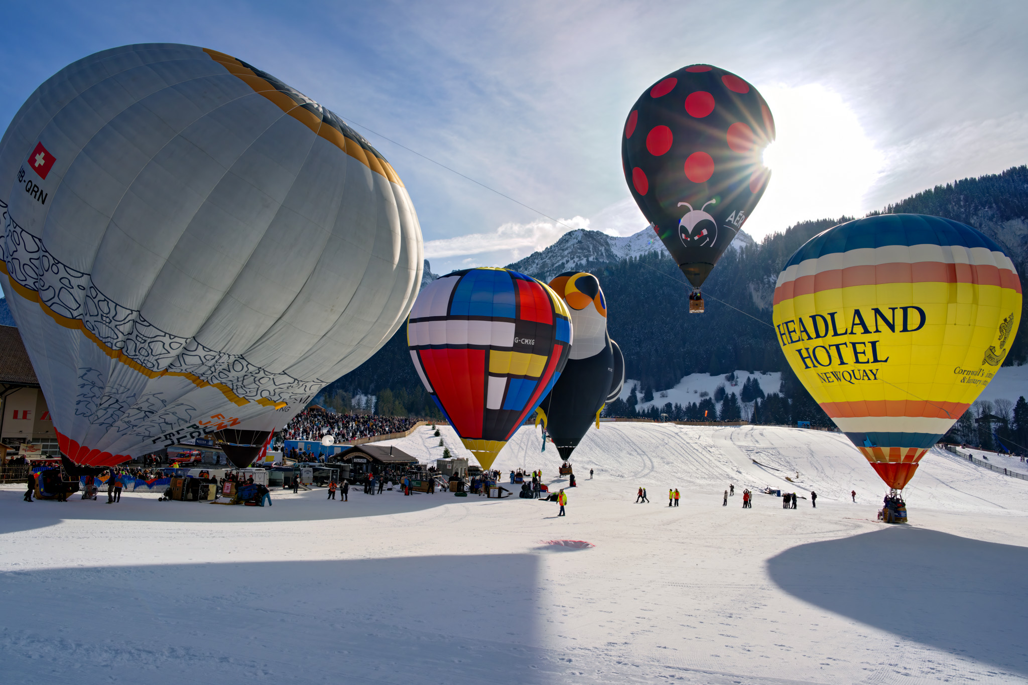 Int. de Bollons Château-d'Oex