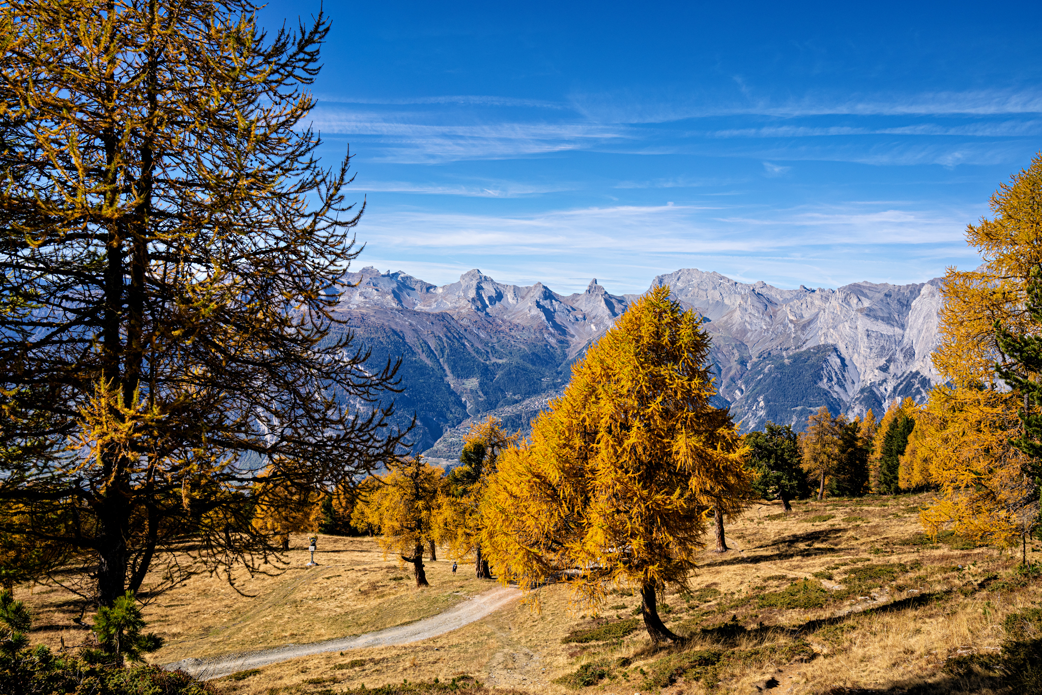 Balavaux Larches
