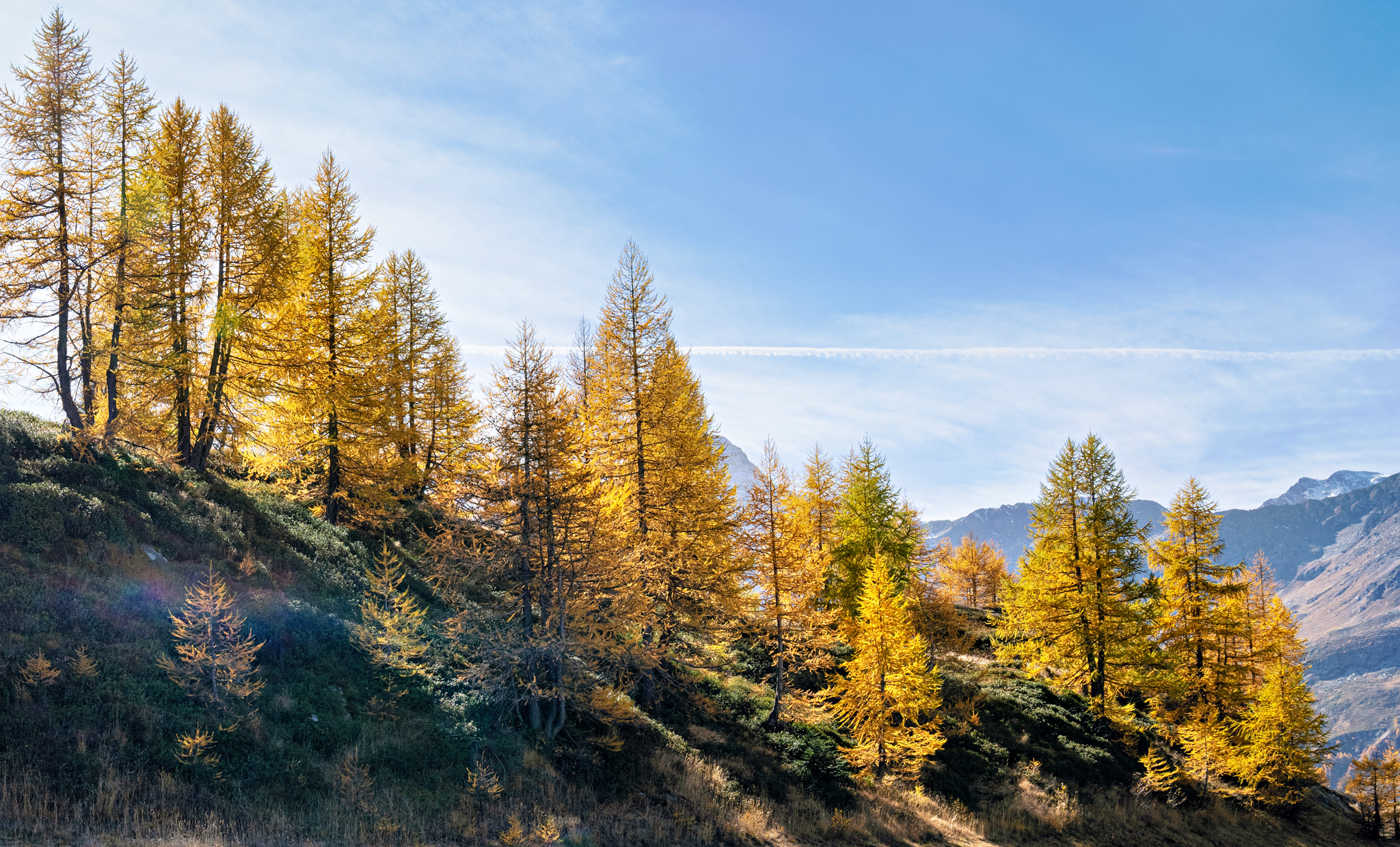 Simplonpass