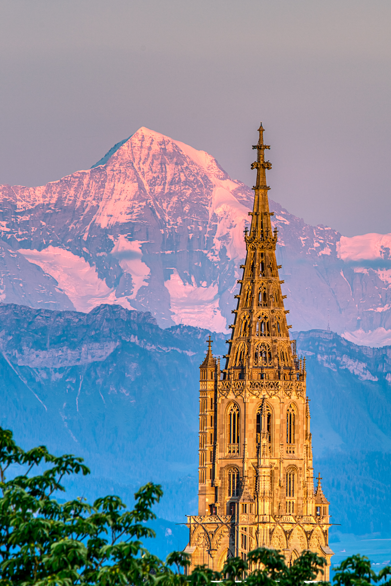 Bern 204
