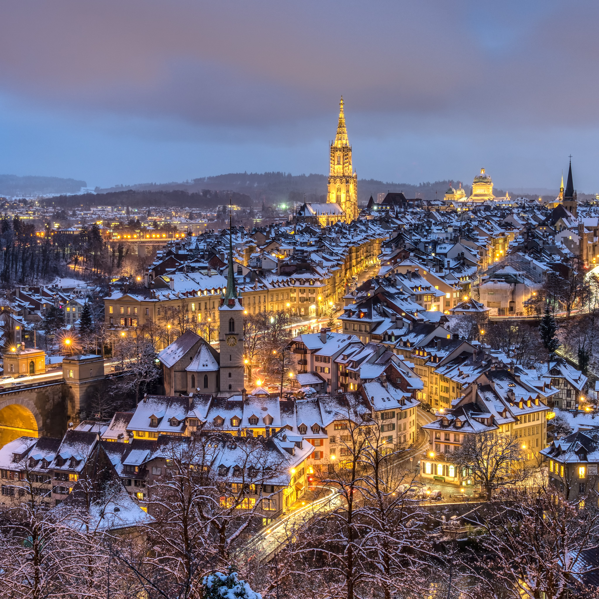 Bern 207