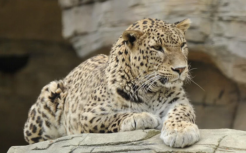 Tierpark 1